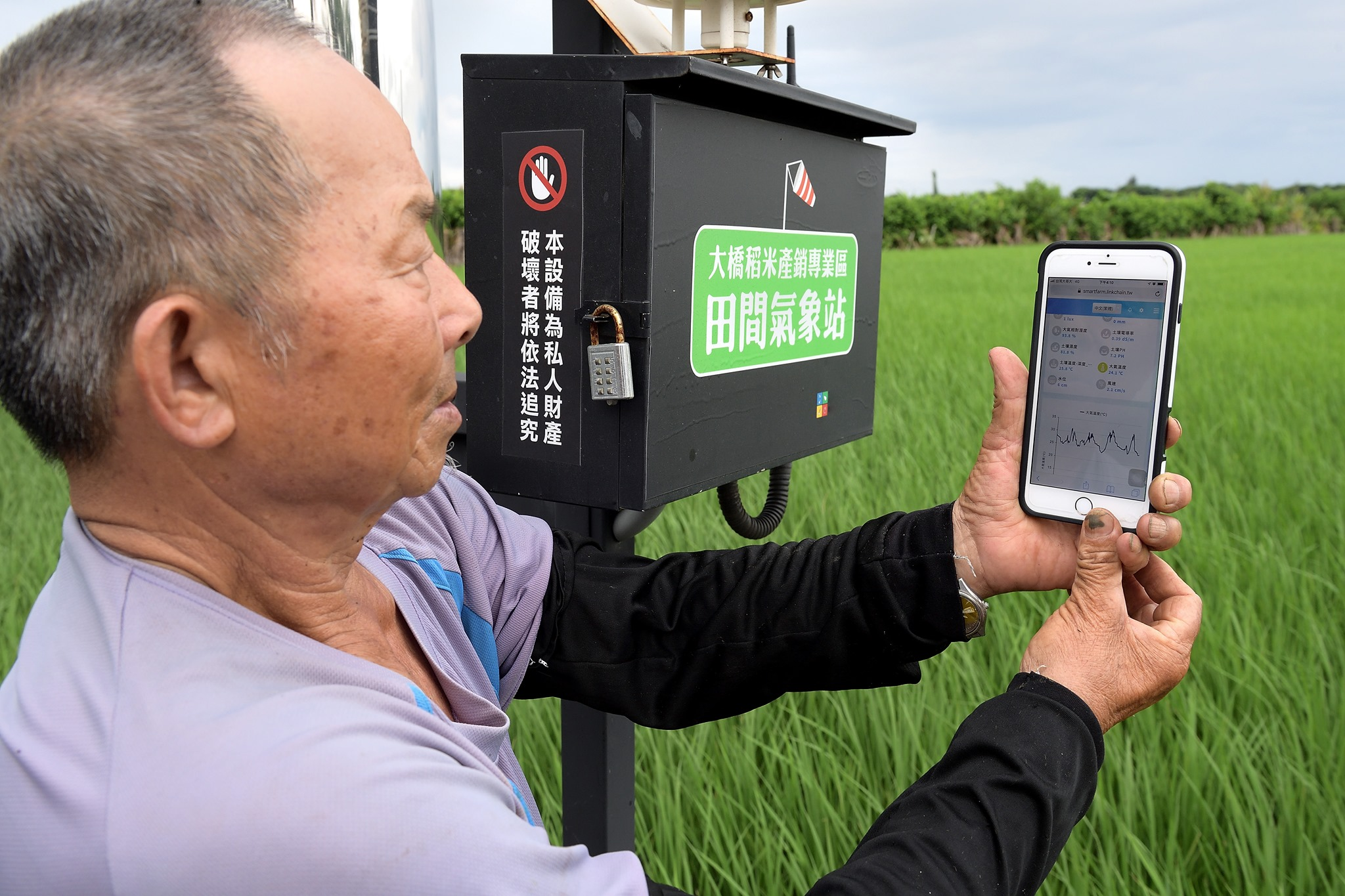 圖4、大橋稻米產銷專業區契作農戶在田間設置微氣象站。 (取自【大橋越光米】官方臉書)