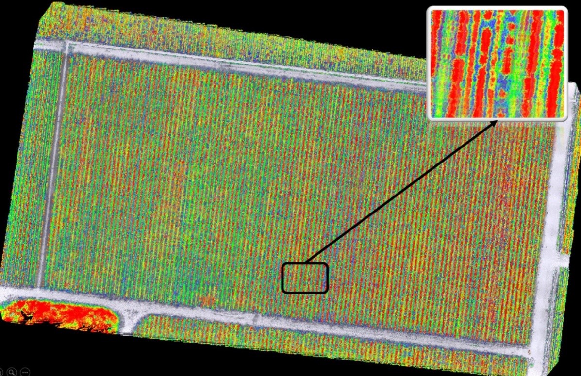 圖四、利用多光譜UAV拍攝大面積茶園之NDVI數值成果圖。