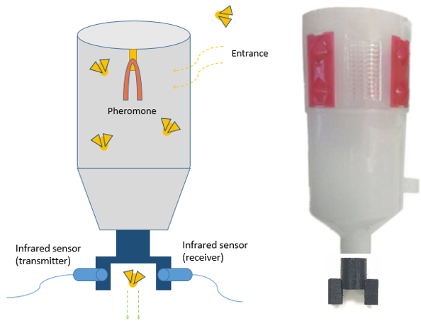 Fig. 1 Insect trap and infrared sensor.