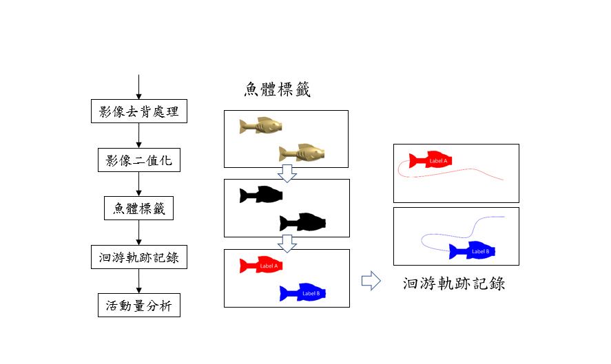 The process and functions of the aquarium broodfish behavior recognition and analysis 