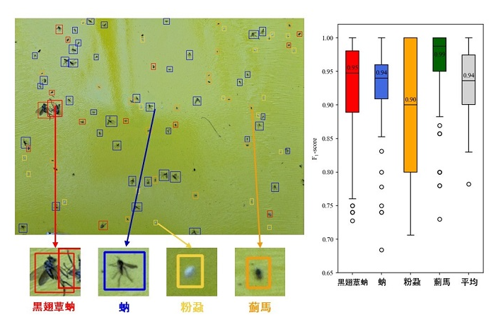 圖4、溫室害蟲辨識演算法辨識結果及準確率。
