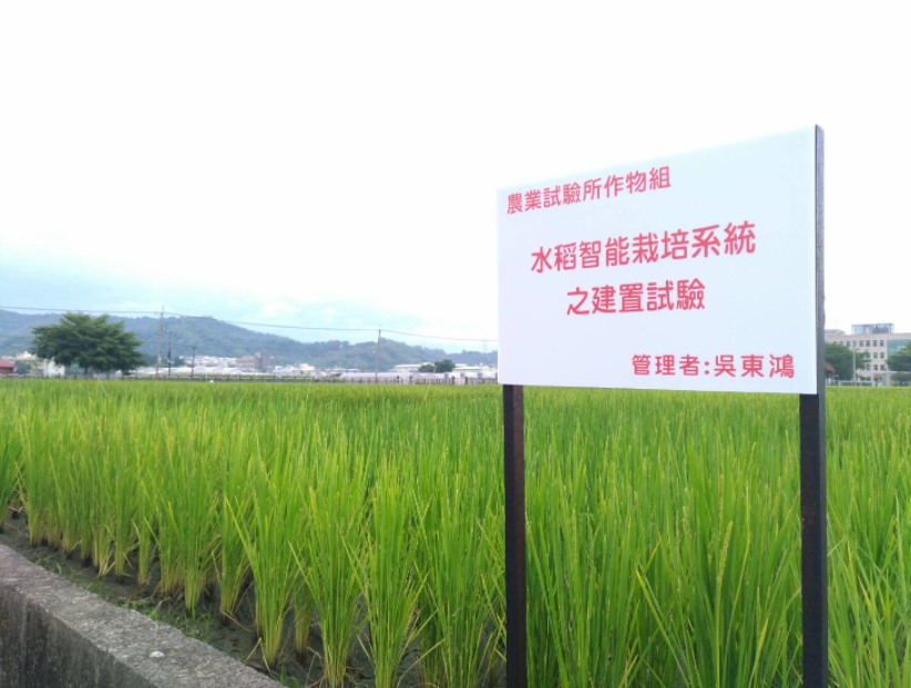 水稻智能栽培系統建置試驗田區