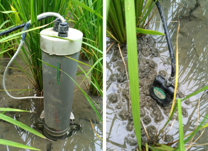 水位計與電導度計，即時監控田間水位與電導度變化