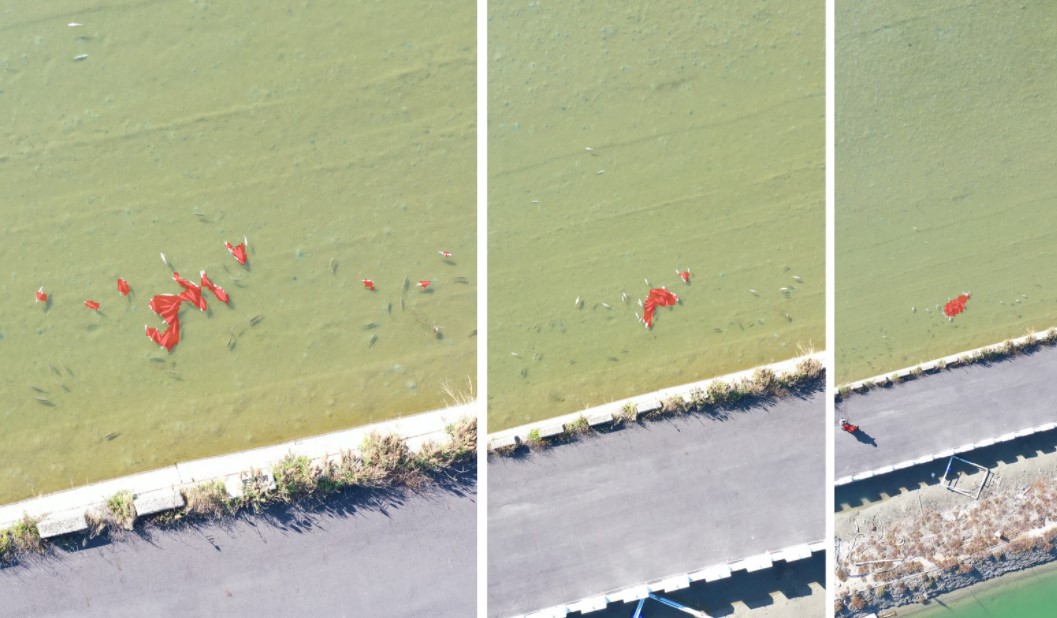圖3、由左至右分別為18公尺、34公尺，以及64公尺航高偵測結果(紅色範圍為深度學習模型自動標記的魚體堆疊區域)