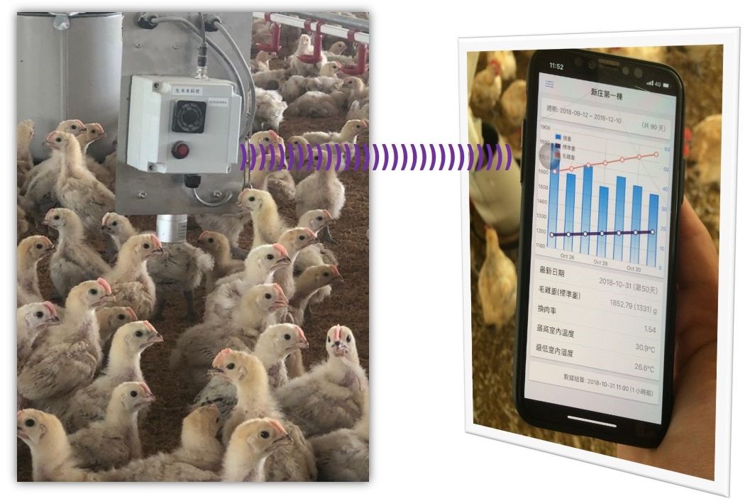 圖2、透過手機APP可以隨時接收監控智慧化禽舍環境感測器傳輸的各項數據