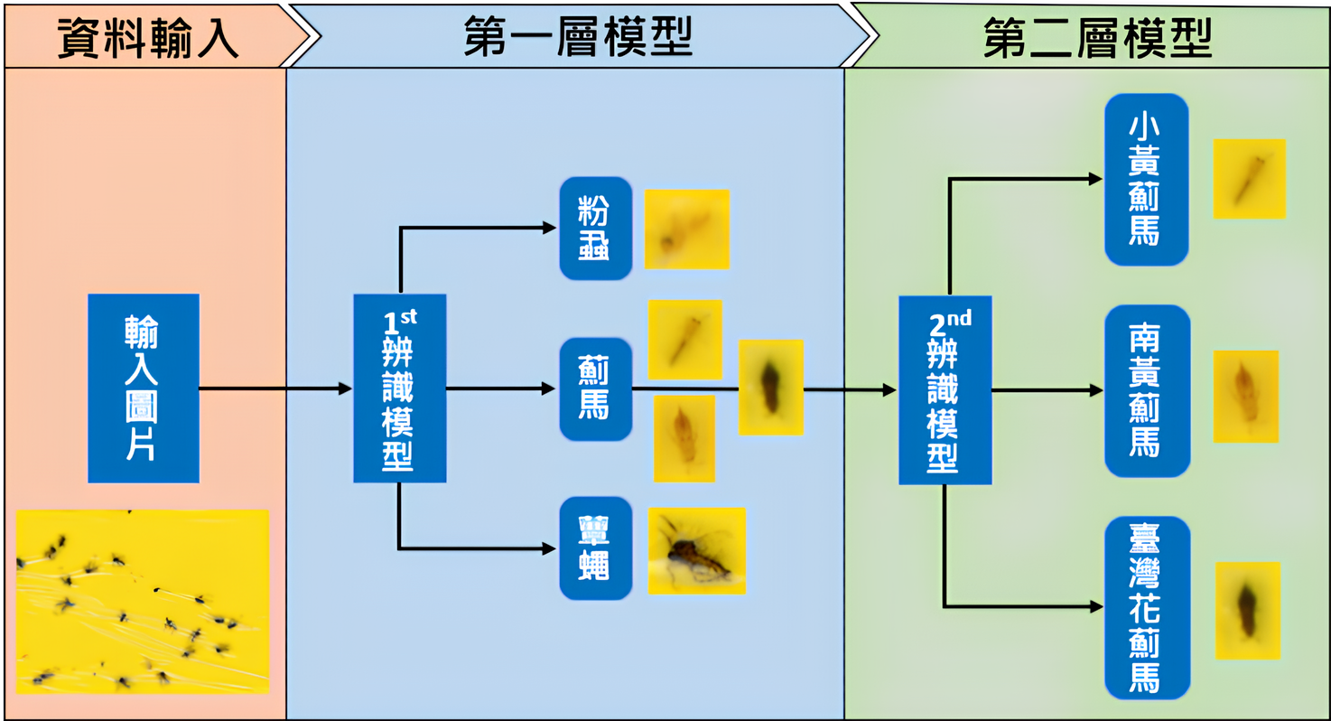 圖1、自動化高解析度薊馬辨識系統之架構圖