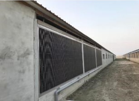 密閉式禽舍建築