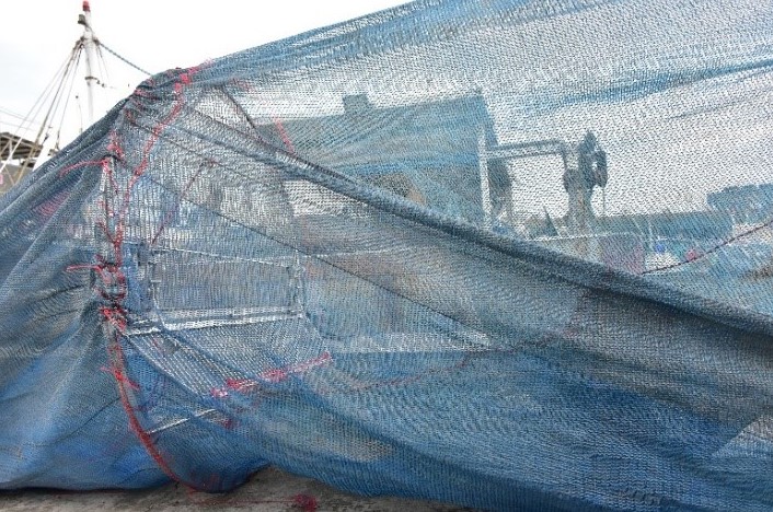 圖3、本團隊研發幼雜魚逃脫器的實景