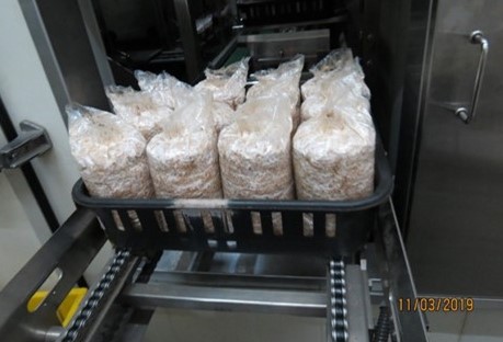 應用本技術進行菇苔自動搬運入庫間情形