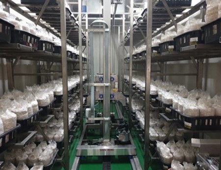 菇類智慧化自動栽培作業系統