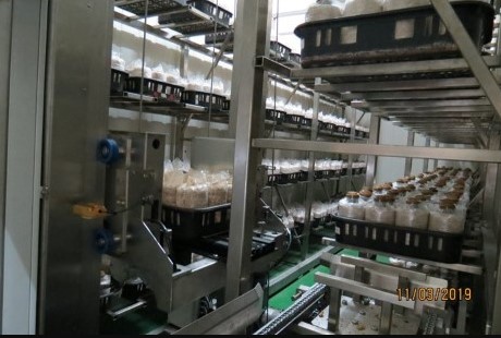太空包栽培盛盤出/入庫轉位定植基座