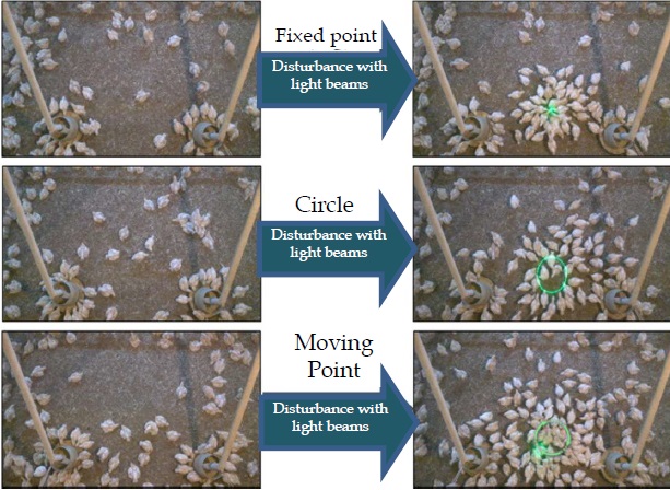 Fig.4. Diagram showing the difference before and after disturbance with three types of projected patterned light beams