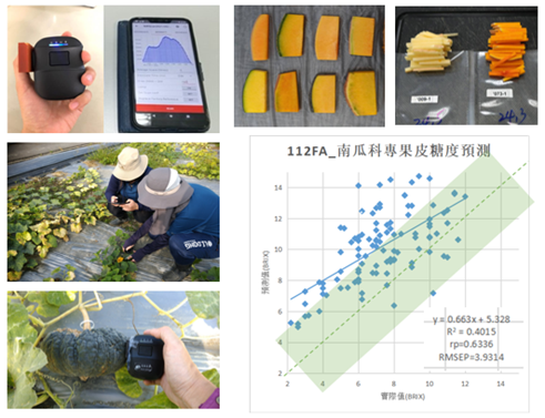圖2.農友公司透過光譜技術以非破壞式方式即時監測果實品質。