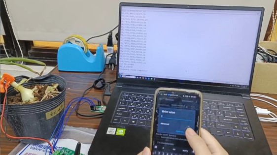 圖4.EIS作物需水阻抗雛型設備操作測試
