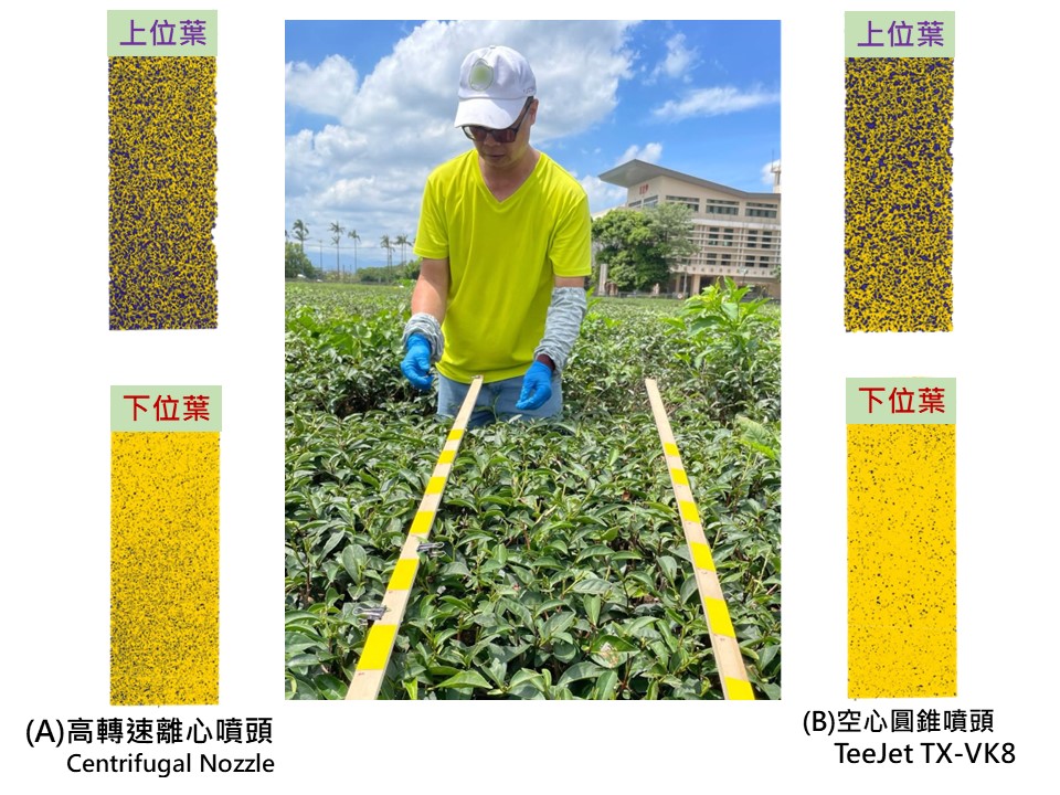 圖2. 以不同噴頭測試茶園植保無人機噴灑穿透能力