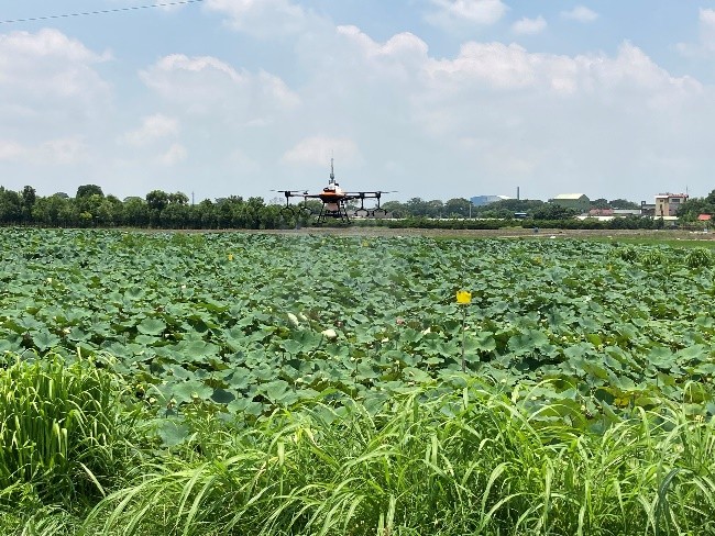 Figure 3. UAV spraying in the field using Droxo DX-10 with  eight hollow cone nozzles (TR8001)